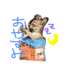 s5（個別スタンプ：2）