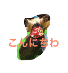 ひならぶ♥（個別スタンプ：1）