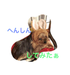 ひならぶ♥（個別スタンプ：14）