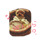 ひならぶ♥（個別スタンプ：19）