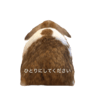 我が家のモフィ（個別スタンプ：8）
