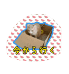 かにうに日和 1（個別スタンプ：3）