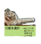 かにうに日和 1（個別スタンプ：14）