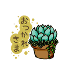 かわいい多肉植物（個別スタンプ：17）