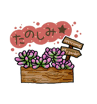 かわいい多肉植物（個別スタンプ：18）