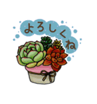 かわいい多肉植物（個別スタンプ：19）