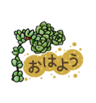 かわいい多肉植物（個別スタンプ：22）