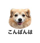 るなの日常言葉2（個別スタンプ：4）