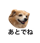るなの日常言葉2（個別スタンプ：5）