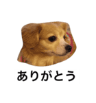 るなの日常言葉2（個別スタンプ：7）