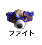るなの日常言葉2（個別スタンプ：10）