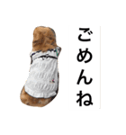 るなの日常言葉2（個別スタンプ：11）