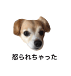 るなの日常言葉2（個別スタンプ：13）