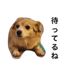 るなの日常言葉2（個別スタンプ：14）