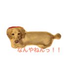 yokuthukauyathu1（個別スタンプ：14）