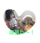yokuthukauyathu1（個別スタンプ：15）