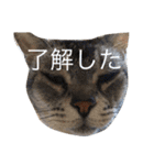 nico's（個別スタンプ：16）