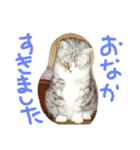 龍馬だよパート②（個別スタンプ：2）