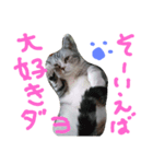 龍馬だよパート②（個別スタンプ：3）