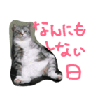 龍馬だよパート②（個別スタンプ：5）