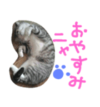 龍馬だよパート②（個別スタンプ：8）