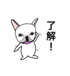 フレンチブル 『ぶん太』と『あられ』（個別スタンプ：9）