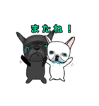フレンチブル 『ぶん太』と『あられ』（個別スタンプ：16）