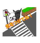 フレンチブル 『ぶん太』と『あられ』（個別スタンプ：19）