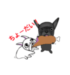 フレンチブル 『ぶん太』と『あられ』（個別スタンプ：27）
