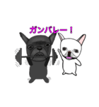 フレンチブル 『ぶん太』と『あられ』（個別スタンプ：33）
