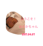 BabyHonoChan（個別スタンプ：1）