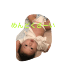 BabyHonoChan（個別スタンプ：6）