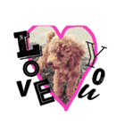 CHIRO Tiny poodle 4（個別スタンプ：12）