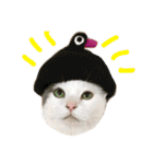 猫の もなかだよ！（個別スタンプ：1）