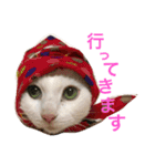 猫の もなかだよ！（個別スタンプ：8）