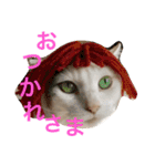 猫の もなかだよ！（個別スタンプ：9）