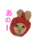 猫の もなかだよ！（個別スタンプ：18）