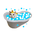 猫の もなかだよ！（個別スタンプ：24）