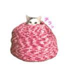 猫の もなかだよ！（個別スタンプ：28）