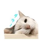 猫の もなかだよ！（個別スタンプ：30）