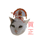 猫の もなかだよ！（個別スタンプ：39）