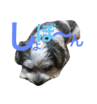 わが家のくうたん（個別スタンプ：2）