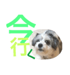 わが家のくうたん（個別スタンプ：6）