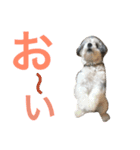 わが家のくうたん（個別スタンプ：7）