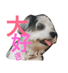 わが家のくうたん（個別スタンプ：12）