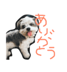 わが家のくうたん（個別スタンプ：14）