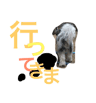 わが家のくうたん（個別スタンプ：16）