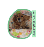 cyan2（個別スタンプ：23）