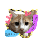 かわいいチビ（個別スタンプ：3）