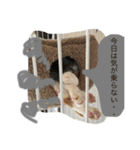 かわいいチビ（個別スタンプ：6）